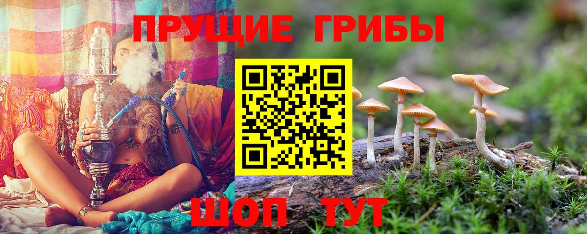 Галлюциногенные грибы Cubensis Азов